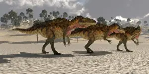 Searching: Acrocanthosaurus theropod dinosaurs search for prey