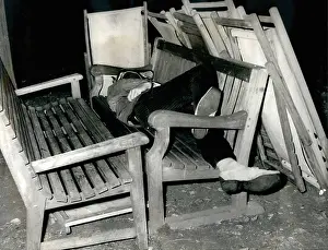 Shanty: Activist - Protest - Riot - Strikes