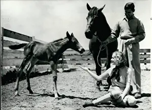 Gables: Actor Clark Gable
