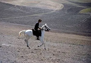 Hemmings: Actor - David Hemmings on Horse