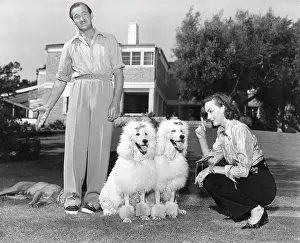 Hjordis: Actor, Novelist David Niven 1910 - 1983