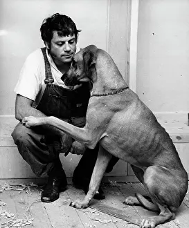 Tars: Actor Oliver Reed 1938 - 1999