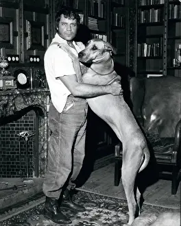 Anywhere: Actor Oliver Reed and His Great Dane