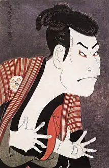 Stylized: The Actor Otani Oniki