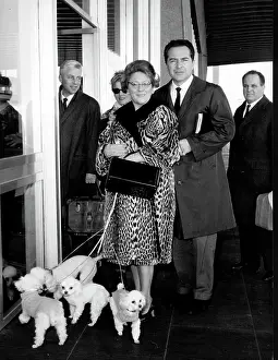 Rossano: Actor Rossano Brazzi 1916 - 1994