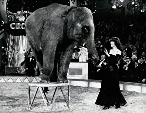 Compilation: Actress Claudia Cardinale 1939 -