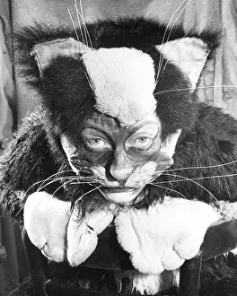 Panto: Actress Freda Wyn in cat costume for a pantomime
