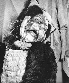 Panto: Actress Freda Wyn in cat costume for a pantomime