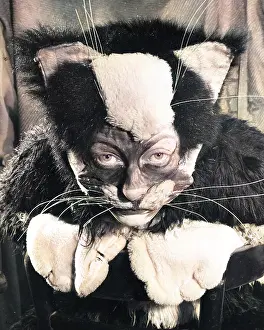 Panto: Actress Freda Wyn in cat costume for a pantomime