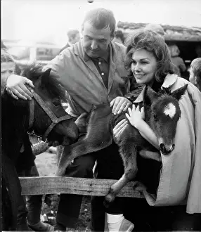Filly: Actress Kim Novak 1933 -
