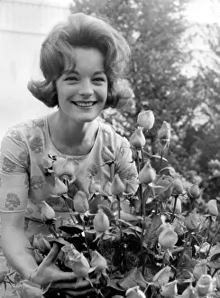 Romy: Actress Romy Schneider 1938 - 1982