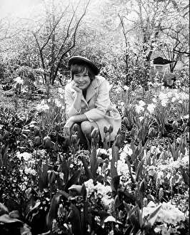 Ongoing: Actress Shirley MacLaine 1934 -