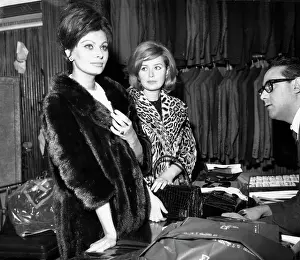 Scicolone: Actress Sophia Loren 1934 -
