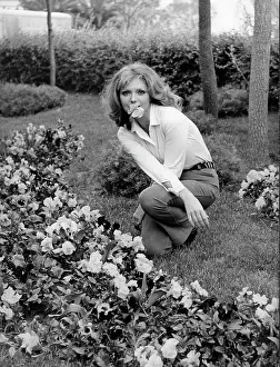 Sylva: Actress Sylva Koscina 1933 - 1994