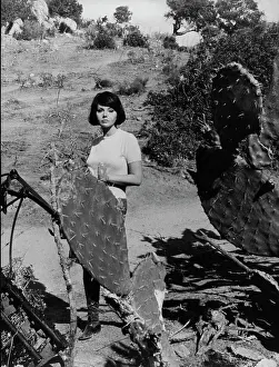Sylva: Actress Sylva Koscina 1933 - 1994