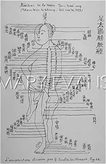 Acupuncture: Acupuncture -- the Bladder