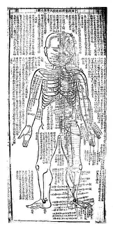 Fringe: Acupuncture chart for front of the body. 19th