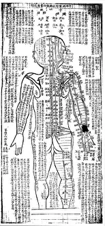 Fringe: Acupuncture chart for rear of the body. 19th century