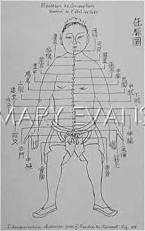 Acupuncture: Acupuncture -- Conception