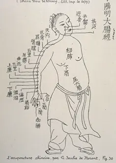 Meridian: Acupuncture -- the Large Intestine