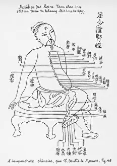 Meridian: Acupuncture -- the Loins