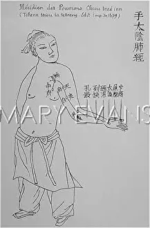 Acupuncture: Acupuncture -- the Lungs