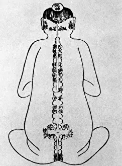 Acupuncture: Acupuncture Points on the Body