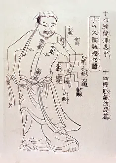 Acupuncture: Acupuncture points on the torso and arm ?