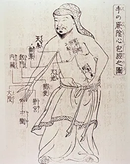 Acupuncture: Acupuncture points on the torso and arm ?