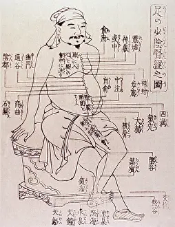 Acupuncture: Acupuncture points on the torso and leg ?