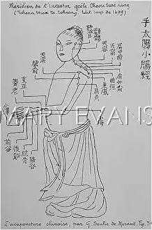 Acupuncture: Acupuncture -- the Small Intestine
