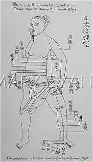 Acupuncture: Acupuncture -- the Spleen and Pancreas