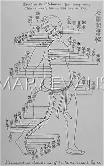 Acupuncture: Acupuncture -- the Stomach