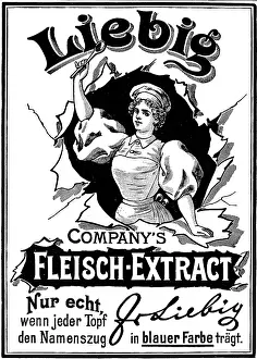 Fleisch: advertising, advertisement for Liebig meat extract