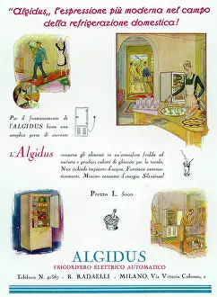 Refrigerator: Advert for Algidus refrigerator