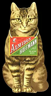 Trademark: Advertisement for Almidon Hoffmann pure rice starch