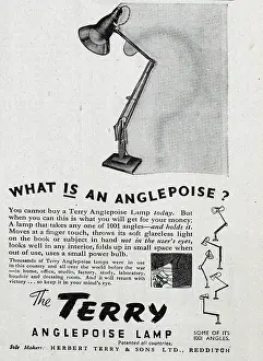 Poise: Advert for Anglepoise Lamps