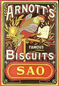 Parrots: Advertisement for Arnott's Famous Biscuits