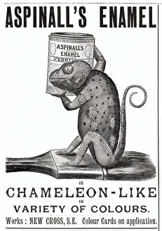Aspinall: Advert for Aspinall's Enamel paint 1894