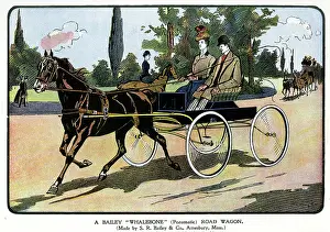 Pneumatic: Advert, Bailey Whalebone Pneumatic Road Wagon
