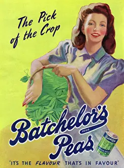 Batchelors: Advertisement for Batchelor's Peas