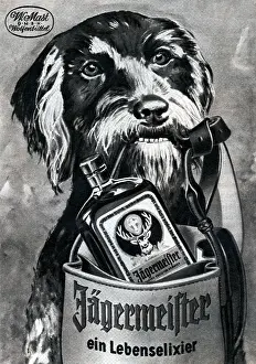 Liquer: advertising, beverages, alcohol, Jagermeister