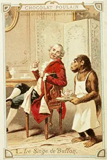 Chocolat: advertising, beverages, cocoa, advertisement