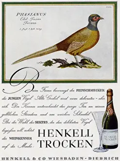 Trocken: advertising, beverages, sparkling wine, Henkell