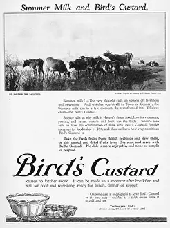 Trifles: Advert for Bird's custard, 1926