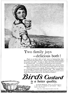 Trifles: Advert for Bird's Custard, 1927