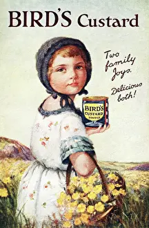 Advertisers: Advertisement, Bird's Custard