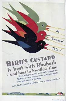 Highlighting: Advert for Bird's Custard