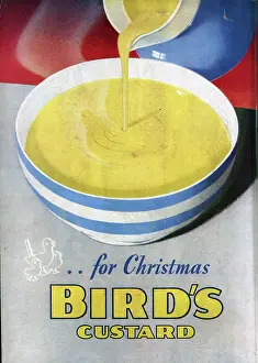 Suggestions: Advert for Bird's Custard