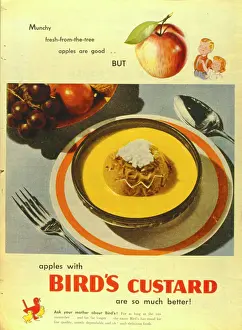 Custard: Advertisement for Bird's Custard